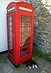 F51T2817 mousehole cat copy.JPG